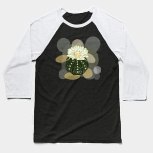 Astrophytum cactus Baseball T-Shirt